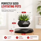 LevitaPot – Magnetic Floating Planter